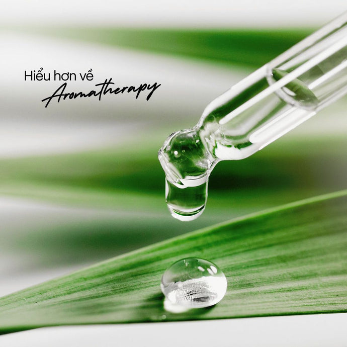 Hiểu hơn về Aromatherapy: Liệu pháp mùi hương